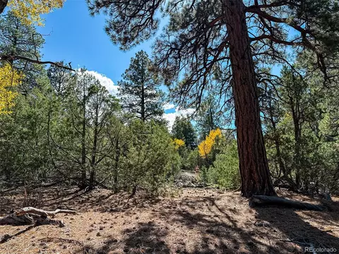 54 56 Big Bear Rd, Mosca, CO 81146 photo 6