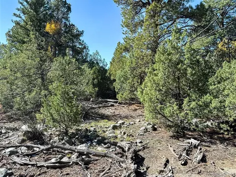54 56 Big Bear Rd, Mosca, CO 81146 photo 5