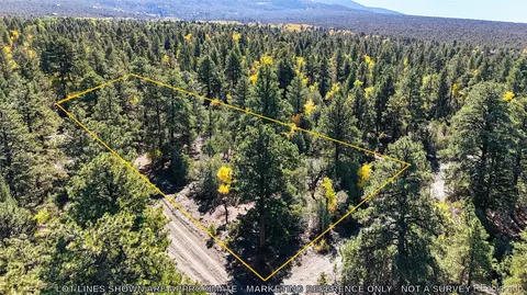 54 56 Big Bear Rd, Mosca, CO 81146 photo 2
