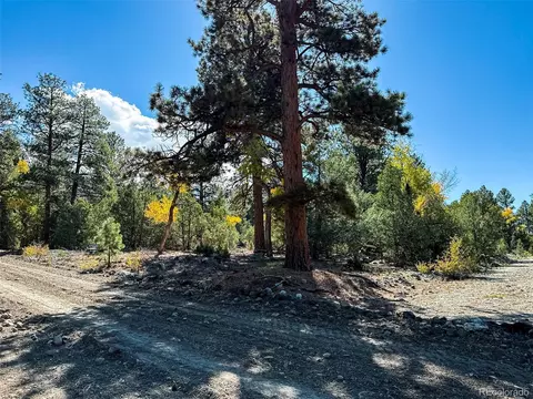 54 56 Big Bear Rd, Mosca, CO 81146 photo 4