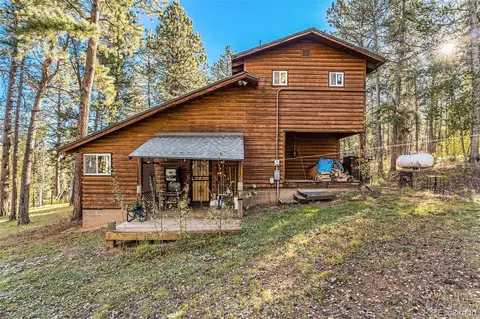 253 Road P-114, Bailey, CO 80421 photo 2