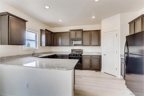 7384 Blue River Ave, Frederick, CO 80530 photo 4