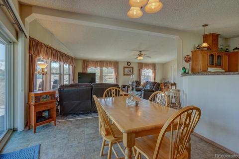 11456 Ruby Mountain Ln, Nathrop, CO 81236 photo 11