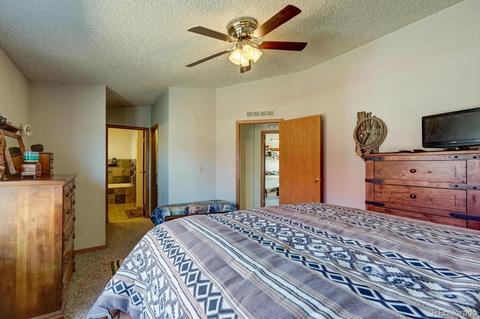11456 Ruby Mountain Ln, Nathrop, CO 81236 photo 20