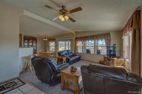 11456 Ruby Mountain Ln, Nathrop, CO 81236 photo 6