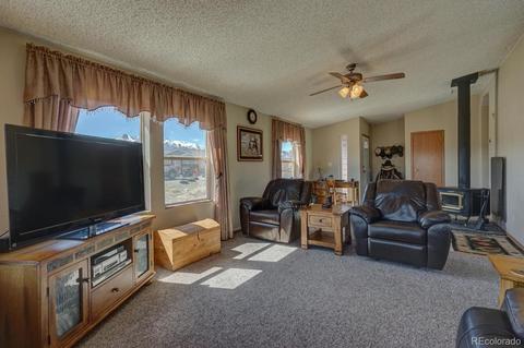 11456 Ruby Mountain Ln, Nathrop, CO 81236 photo 7
