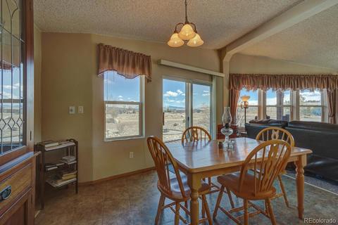 11456 Ruby Mountain Ln, Nathrop, CO 81236 photo 10