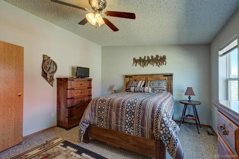 11456 Ruby Mountain Ln, Nathrop, CO 81236 photo 19