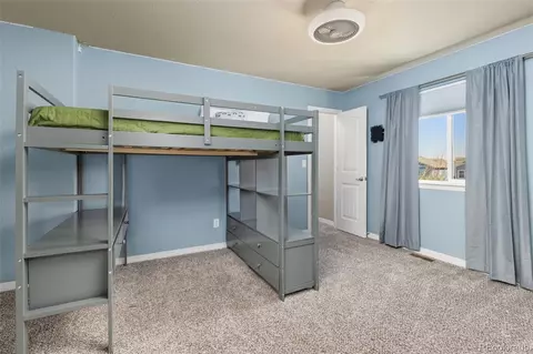 1274 Baker Pass St, Windsor, CO 80550 photo 24