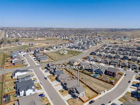 1274 Baker Pass St, Windsor, CO 80550 photo 40