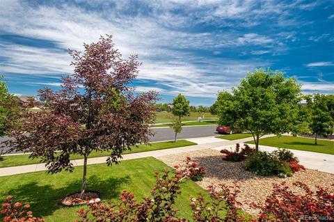 25560 E 3rd Ave, Aurora, CO 80018 photo 6