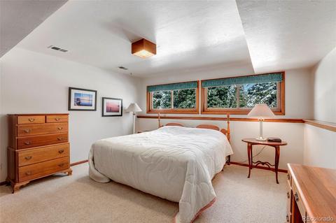 5743 Willowbrook Dr, Morrison, CO 80465 photo 27