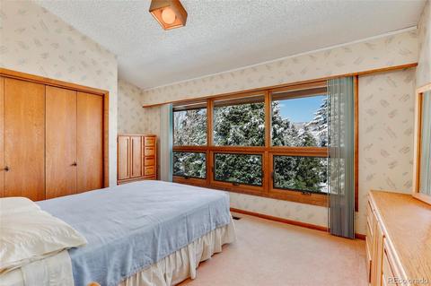 5743 Willowbrook Dr, Morrison, CO 80465 photo 14