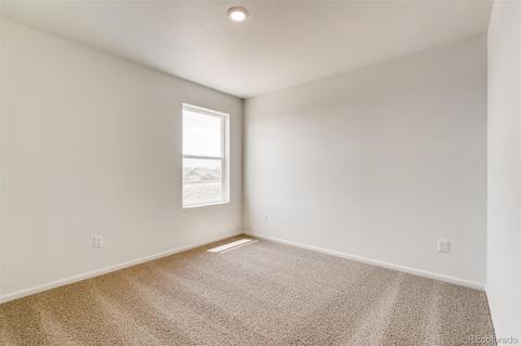 1099 Long Meadows St, Severance, CO 80550 photo 15