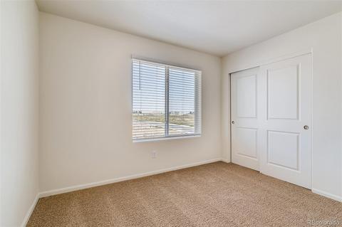 1099 Long Meadows St, Severance, CO 80550 photo 12