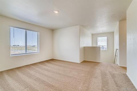 1099 Long Meadows St, Severance, CO 80550 photo 16