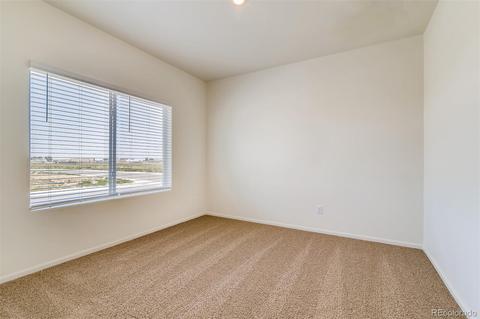 1099 Long Meadows St, Severance, CO 80550 photo 8