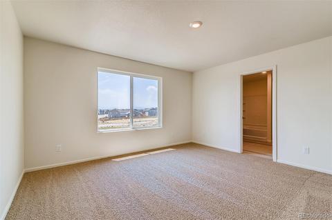1099 Long Meadows St, Severance, CO 80550 photo 10