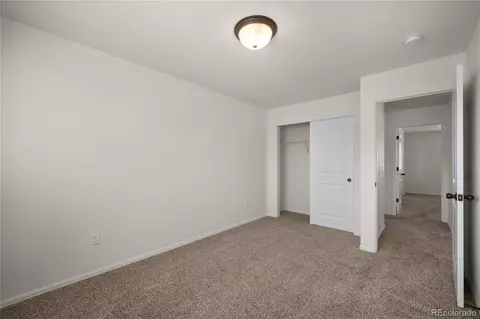 374 Littlebrook Ct, Windsor, CO 80550 photo 35