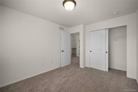 374 Littlebrook Ct, Windsor, CO 80550 photo 39