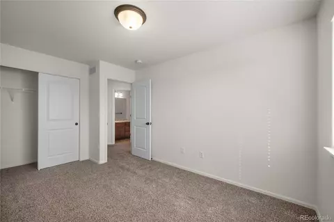 374 Littlebrook Ct, Windsor, CO 80550 photo 36