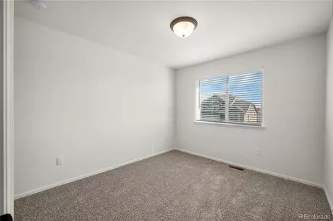 374 Littlebrook Ct, Windsor, CO 80550 photo 37