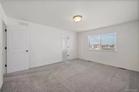 374 Littlebrook Ct, Windsor, CO 80550 photo 27