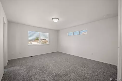 374 Littlebrook Ct, Windsor, CO 80550 photo 26