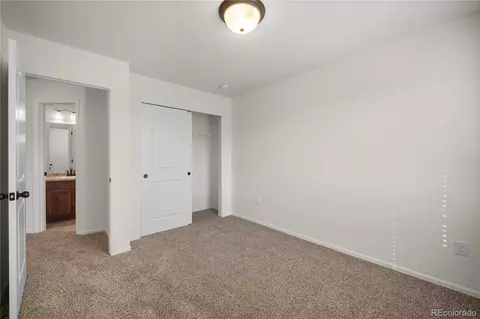 374 Littlebrook Ct, Windsor, CO 80550 photo 38