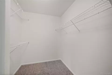 374 Littlebrook Ct, Windsor, CO 80550 photo 32