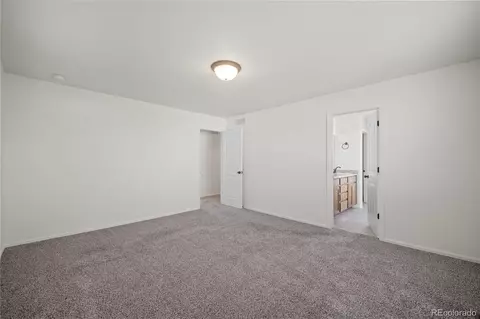 374 Littlebrook Ct, Windsor, CO 80550 photo 28