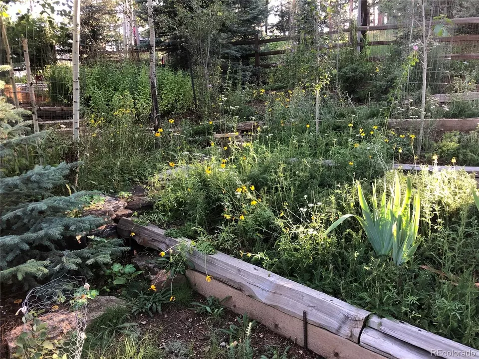 Exterior - 5878 S Merriam Dr, Evergreen, CO 80439 photo 14 of 15