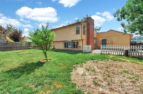 4666 S Eldridge St, Morrison, CO 80465 photo 28