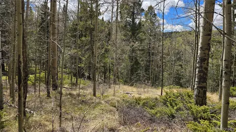 lot5853 Slegers Rd, Fort Garland, CO 81133