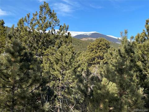 63 Road P-72, Bailey, CO 80421 photo 26