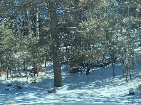 63 Road P-72, Bailey, CO 80421 photo 10