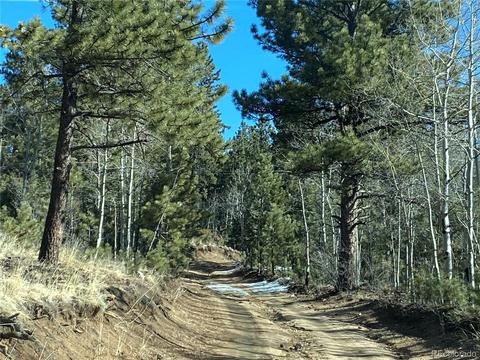 63 Road P-72, Bailey, CO 80421 photo 1