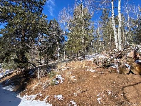 63 Road P-72, Bailey, CO 80421 photo 12