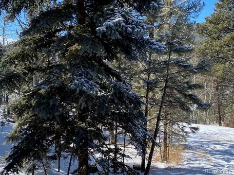 63 Road P-72, Bailey, CO 80421 photo 16