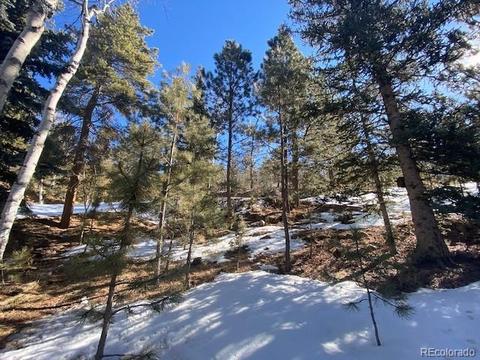 63 Road P-72, Bailey, CO 80421 photo 11