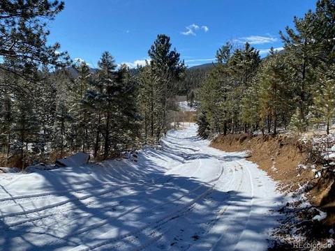 63 Road P-72, Bailey, CO 80421 photo 4