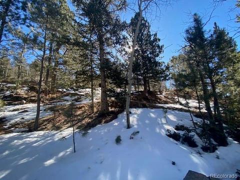63 Road P-72, Bailey, CO 80421 photo 24