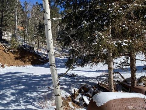 63 Road P-72, Bailey, CO 80421 photo 17