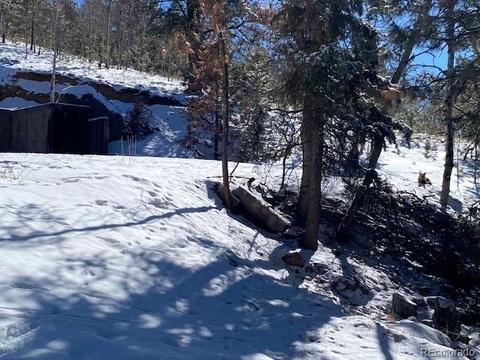 63 Road P-72, Bailey, CO 80421 photo 15