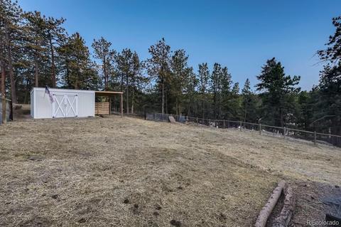 1172 Mount Evans Blvd, Pine, CO 80470 photo 38