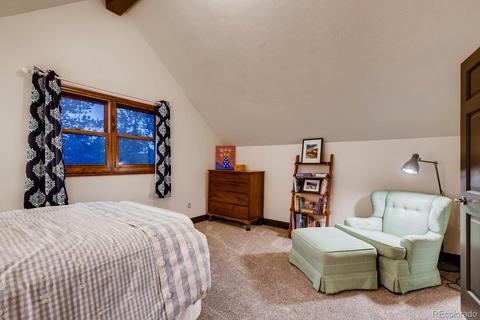 1172 Mount Evans Blvd, Pine, CO 80470 photo 27