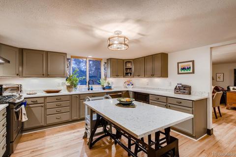 1172 Mount Evans Blvd, Pine, CO 80470 photo 10