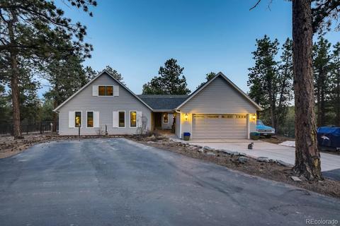 1172 Mount Evans Blvd, Pine, CO 80470 photo 1