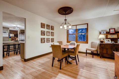 1172 Mount Evans Blvd, Pine, CO 80470 photo 5