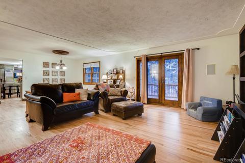 1172 Mount Evans Blvd, Pine, CO 80470 photo 6